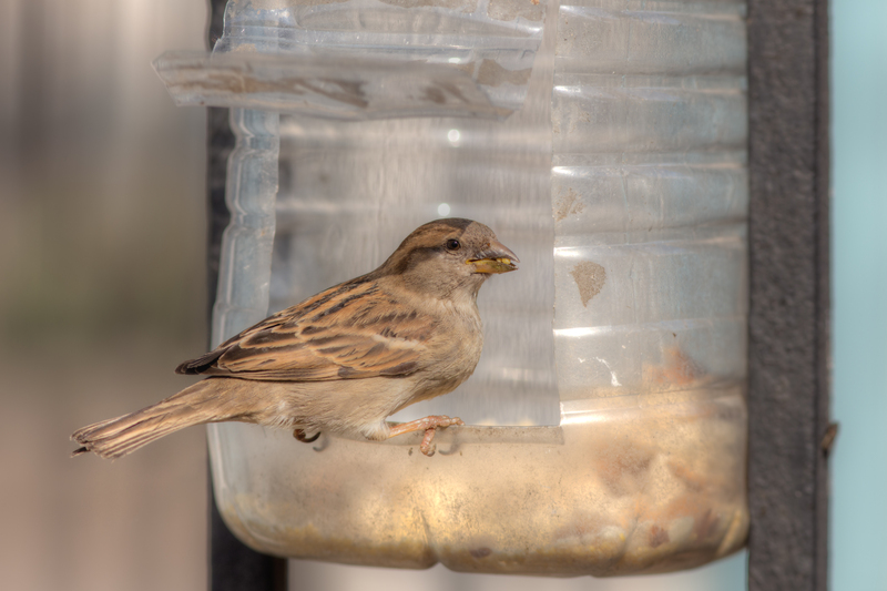 Developing a Recycling Mindset in Kids From an Early Age